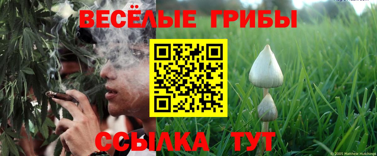 Галлюциногенные грибы Psilocybine cubensis  Вход с VPN  Карпинск 